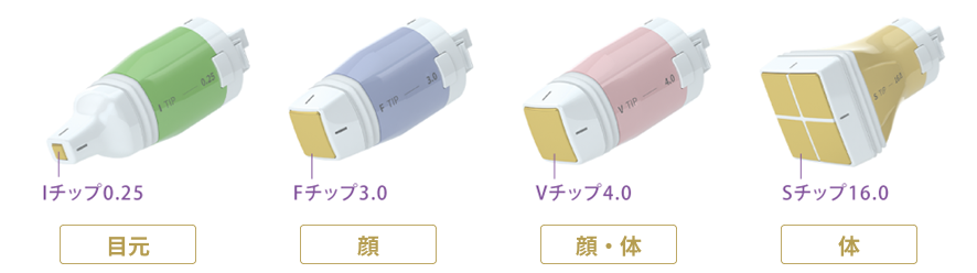 専用の４種のチップ